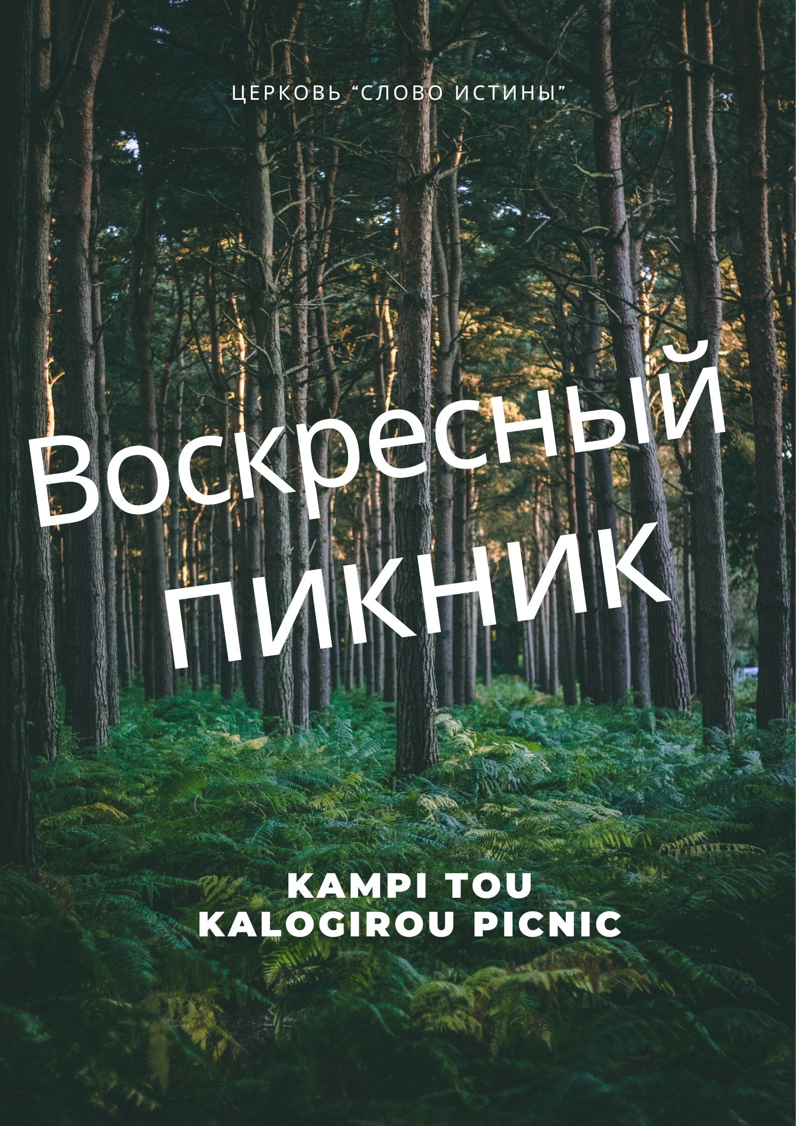воскресный пикник