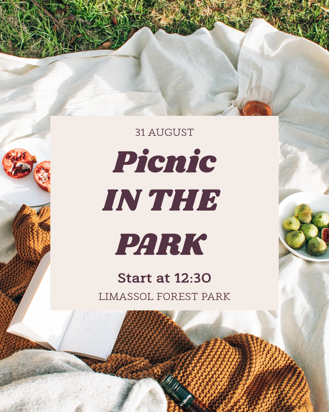 picnicn in the park
