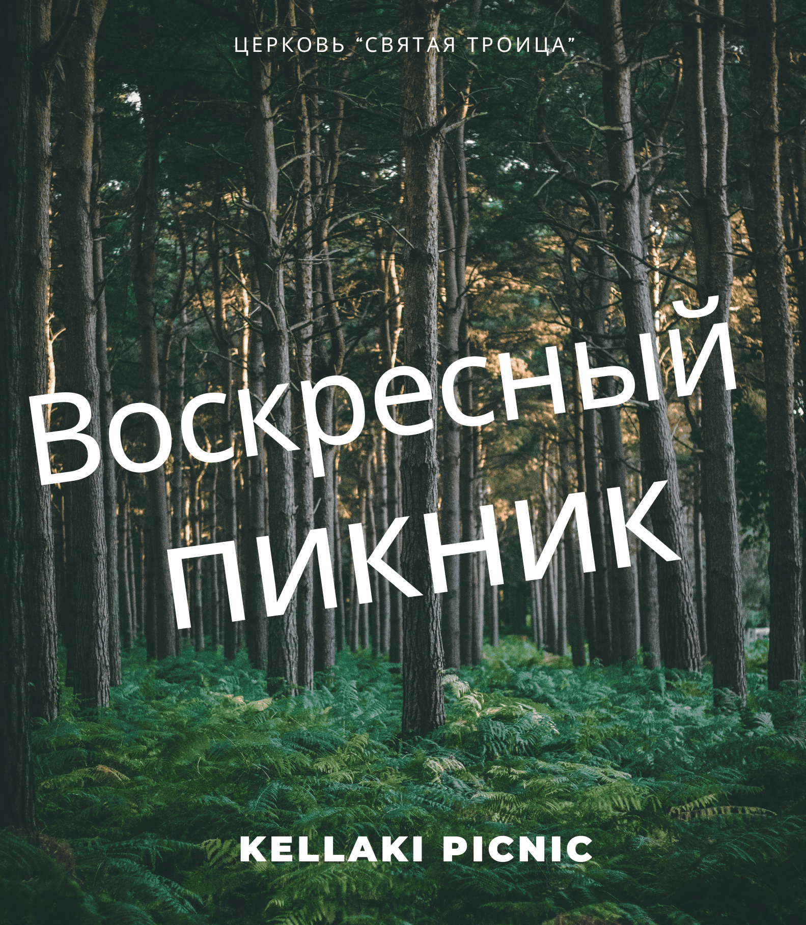приглашаем на воскресный пикник