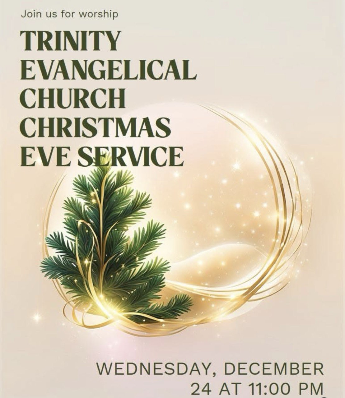 Christmas Eve Service at Trinity Evangelical Church, Cyprus — 24 December 2025 at 23:00 (EET), featuring worship and Christmas praise. Рождественское служение в сочельник в Trinity Evangelical Church, Кипр — 24 декабря 2025 в 23:00 (EET), прославление и рождественские песни. Χριστουγεννιάτικη λειτουργία Παραμονής Χριστουγέννων στην Trinity Evangelical Church, Κύπρος — 24 Δεκεμβρίου 2025 στις 23:00 (EET), με λατρεία και χριστουγεννιάτικη δοξολογία. Рождествена служба на Бъдни вечер в Trinity Evangelical Church, Кипър — 24 декември 2025 г. в 23:00 (EET), с поклонение и рождественско прославление. Slujbă de Ajunul Crăciunului la Trinity Evangelical Church, Cipru — 24 decembrie 2025, ora 23:00 (EET), cu închinare și laudă de Crăciun.